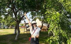 异界龙魂无弹窗